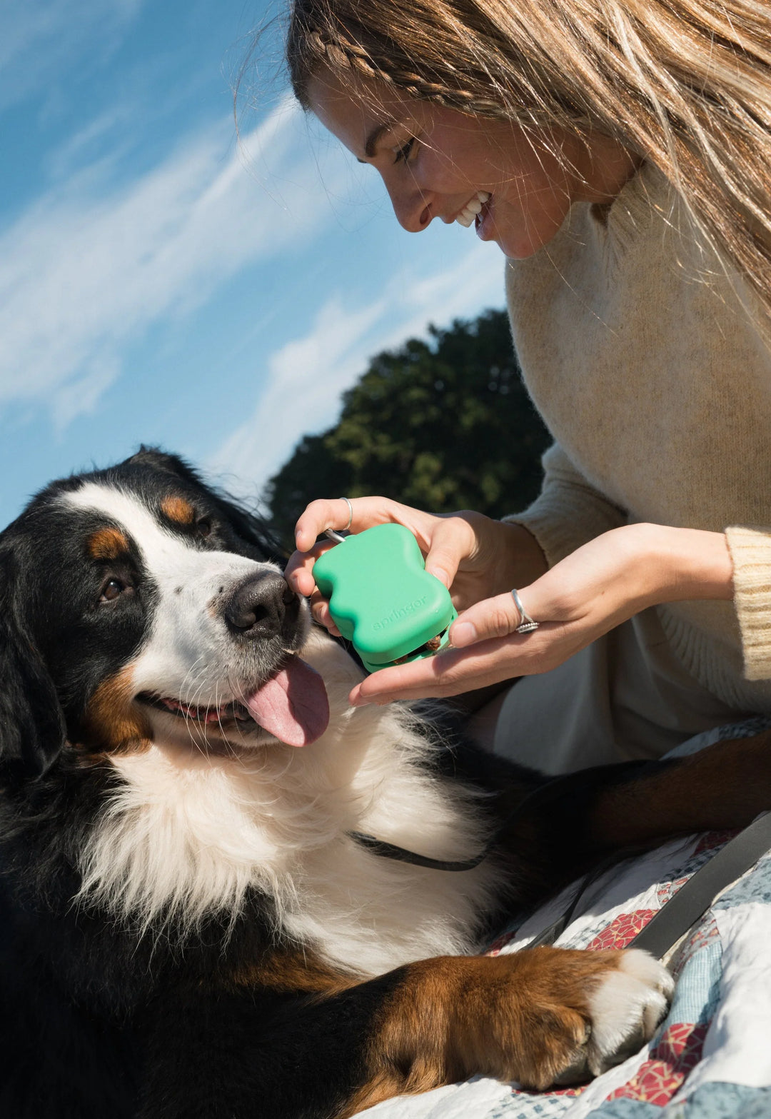 Springland's Silicone Dog Treat Dispenser Springer Green
