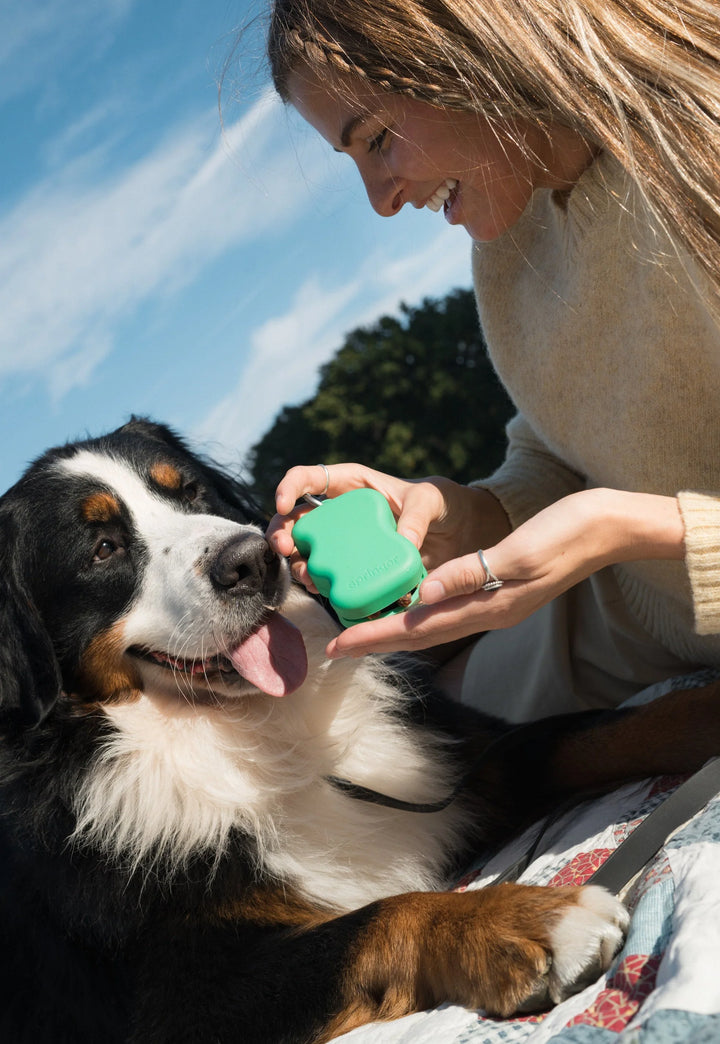 Springland's Silicone Dog Treat Dispenser Springer Green