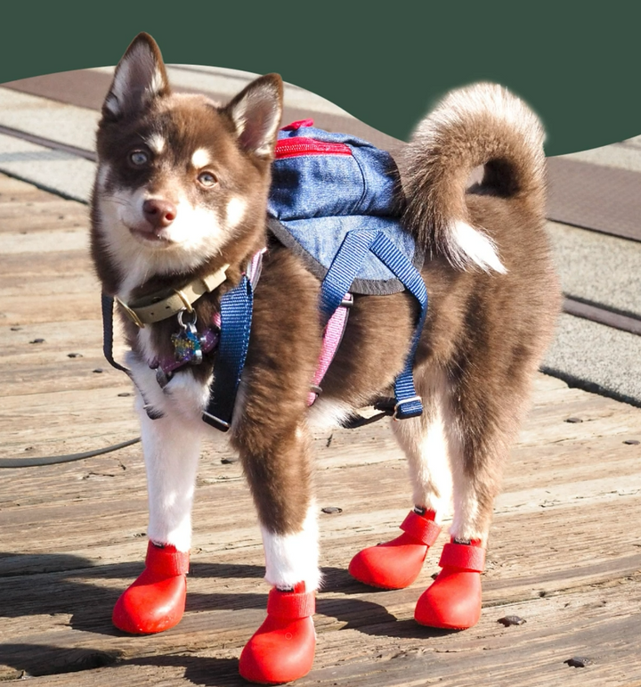 WagWellies Dog boots