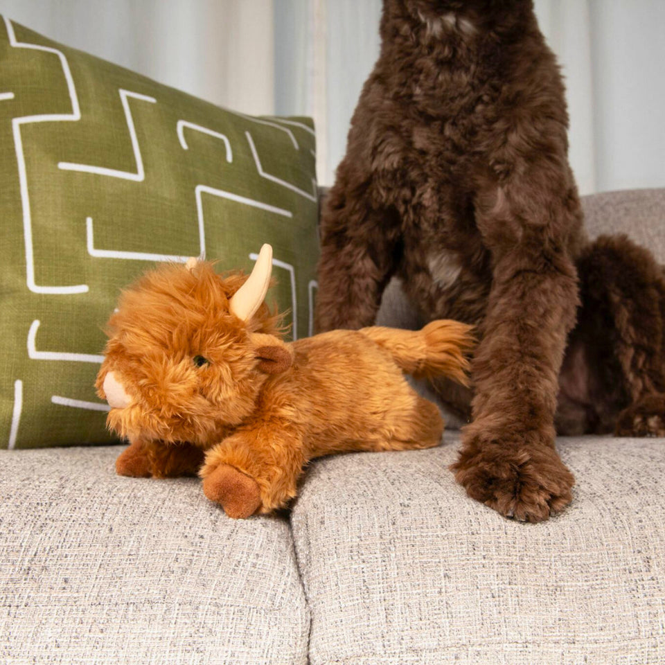Shaggy the Highland Cow PlushDog Toy
