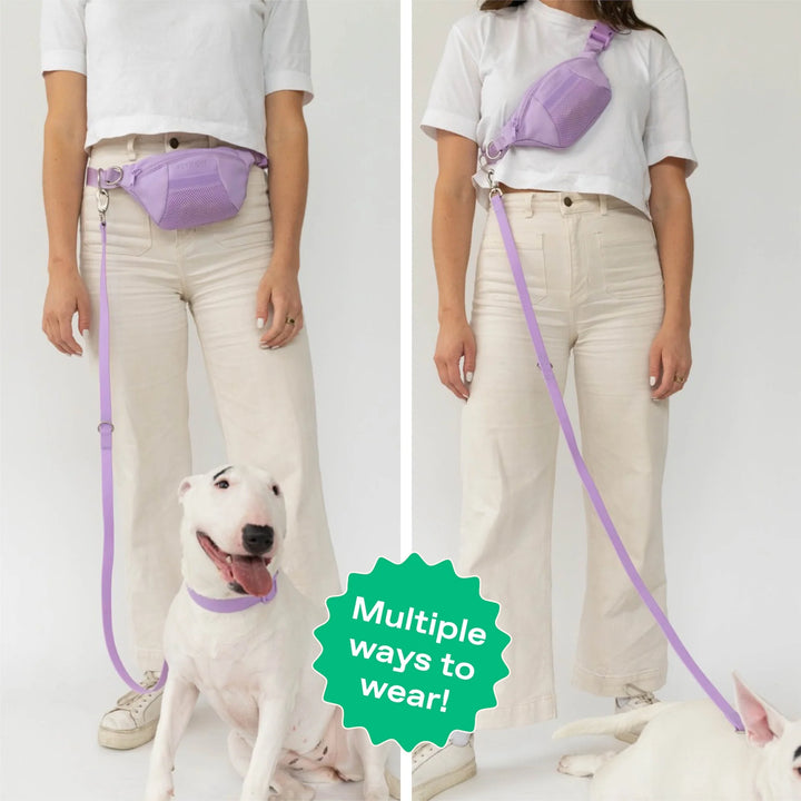 Springland's Dog Walking Bag and Hands Free Leash Combo Lilac