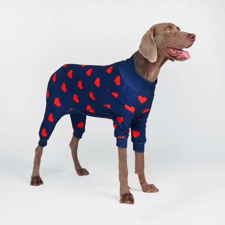 Dog Pajama with Hearts