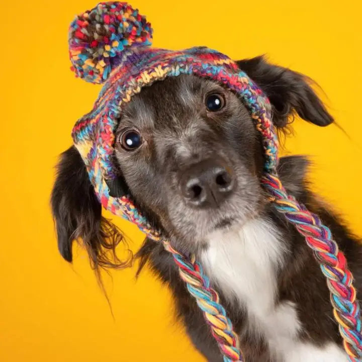 Spark Paws Kaleidoscope Knit Pom Pom Beanie Hat for Dogs