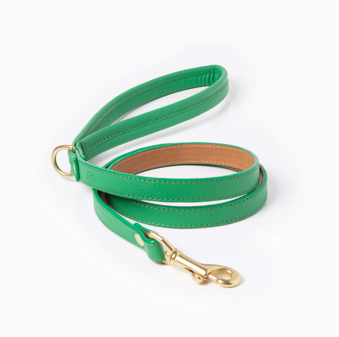 Ramona for You Spring Green Leather Leash