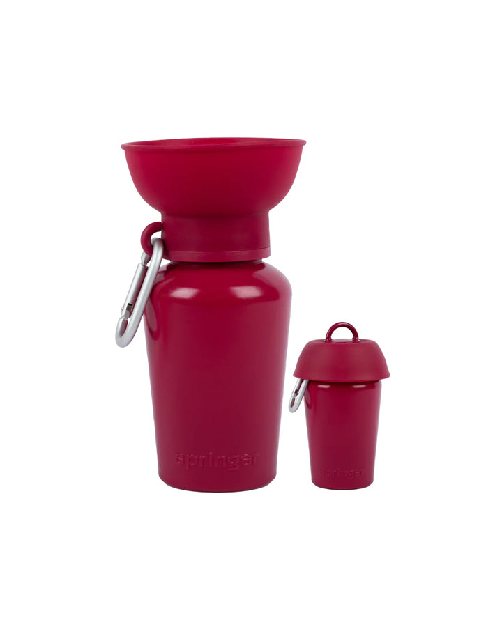 Springland's Springer Travel Dog Water Bottle in Mulberry 20oz