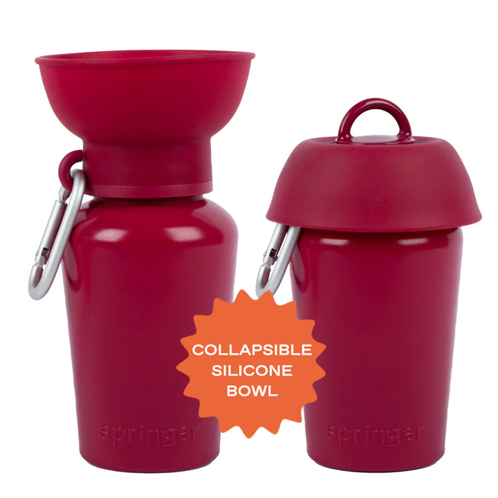 Springland's Springer Travel Dog Water Bottle in Mulberry 20oz