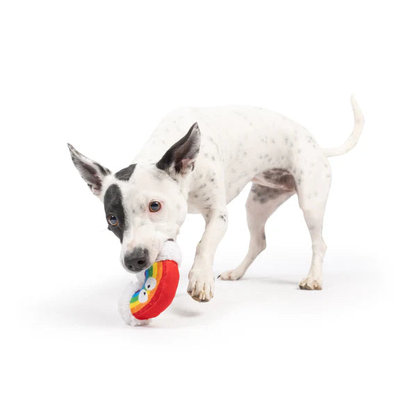 Tiny Tuff Happy Rainbow Dog Toy