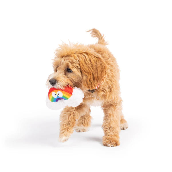 Tiny Tuff Happy Rainbow Dog Toy