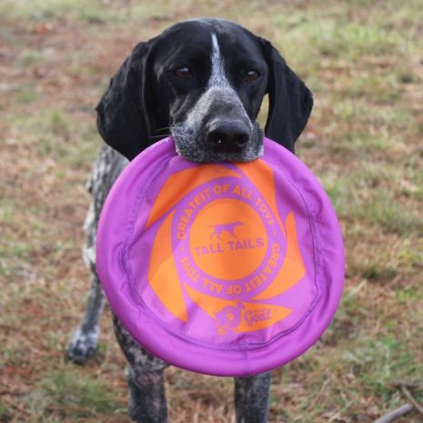 Tall Tails GOAT Sport Flyer Frisbee Dog Toy 9"