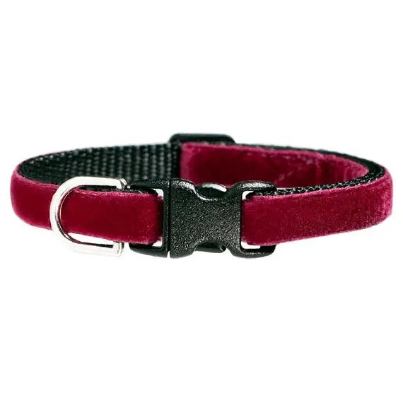 The Curtain Call Cat Collar