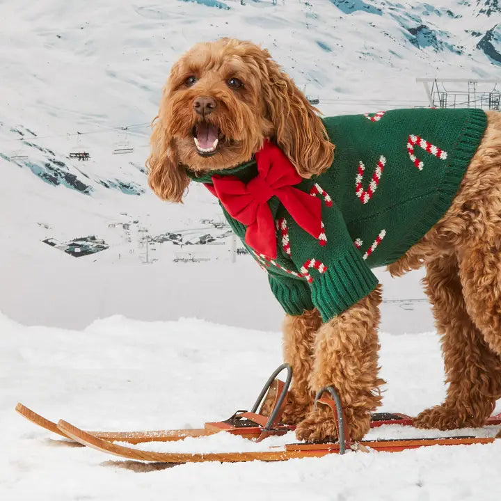 The Foggy Dog Candy Canes Holiday Knit Sweater
