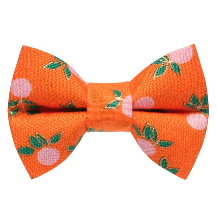 The From the Source Bow Tie Attachment for Collar