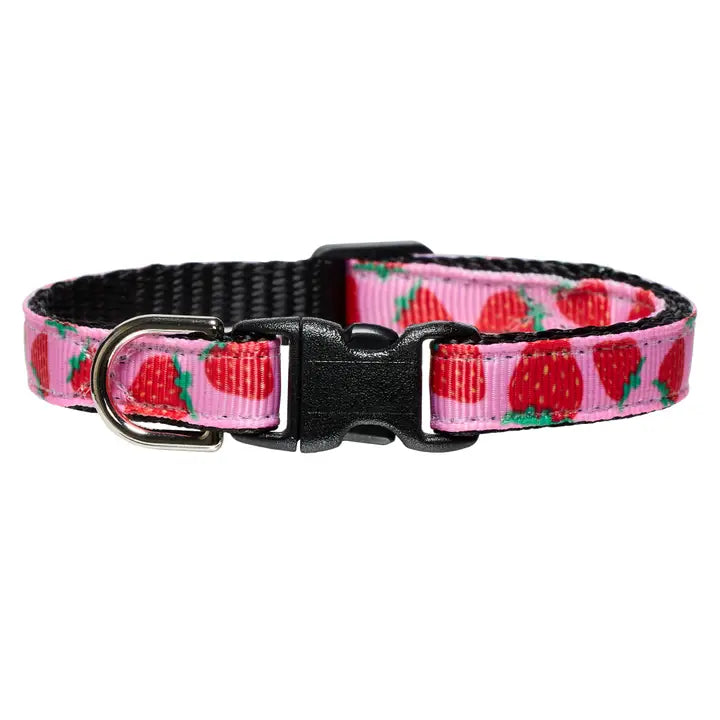 The Jam Cat Collar