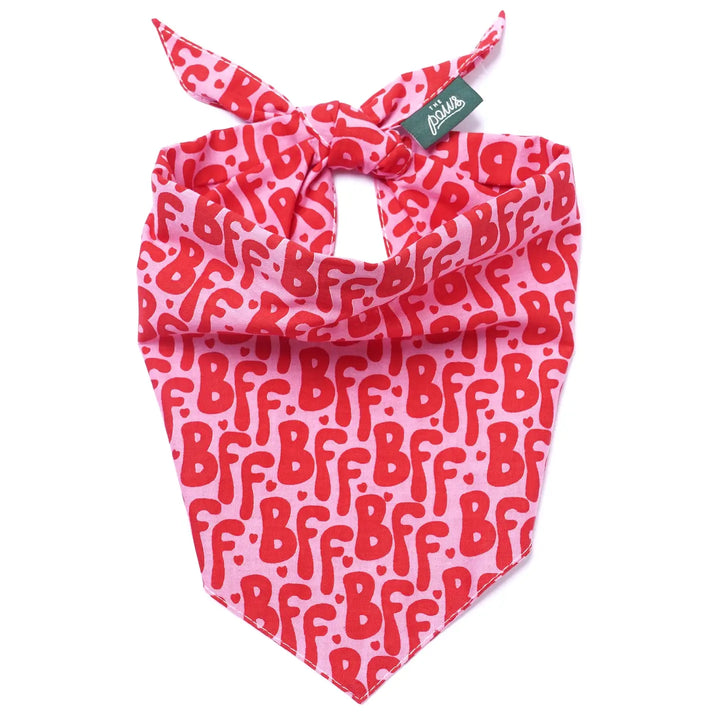 The Paws BFF Bandana for Dogs and Cats