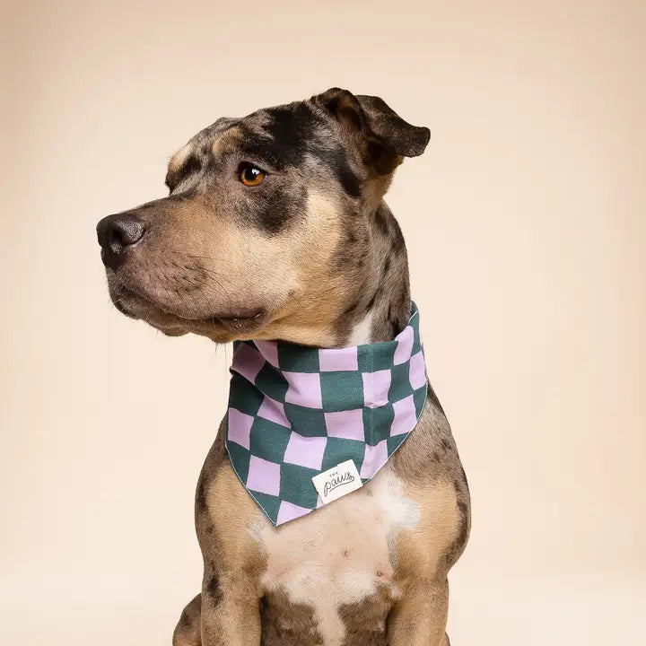 The Paws Brooklyn Bandana for Dogs and Cats