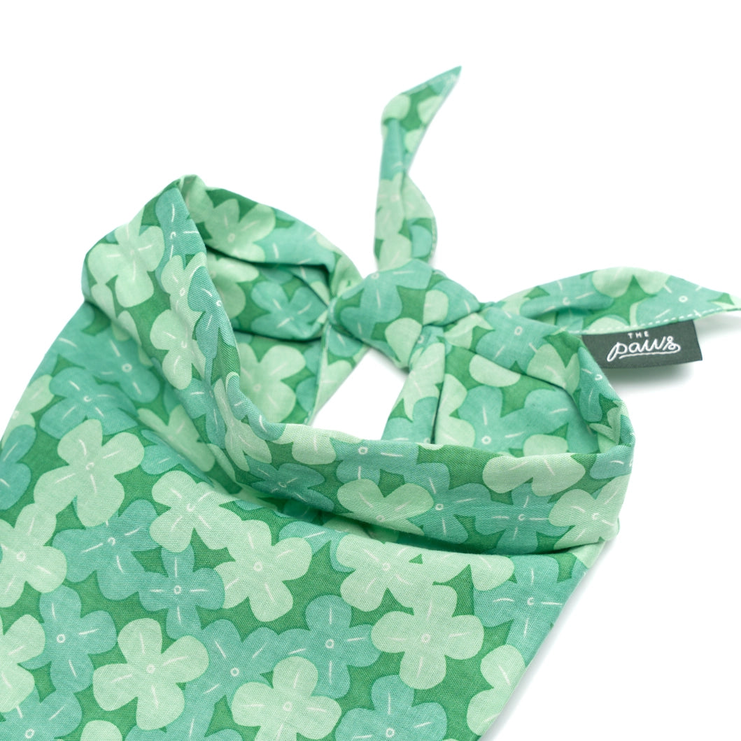 The Paws Clover Bandana for Dogs and Cats