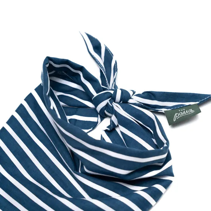 The Paws Everyday Stripe Bandana for Dogs and Cats