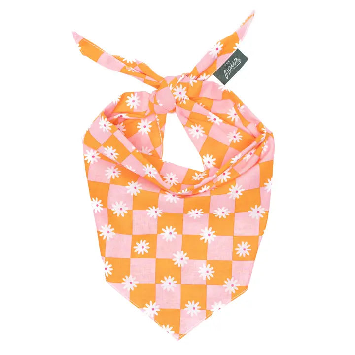 The Paws Hula Bandana for Dogs and Cats
