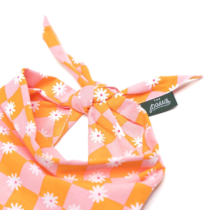 The Paws Hula Bandana for Dogs and Cats