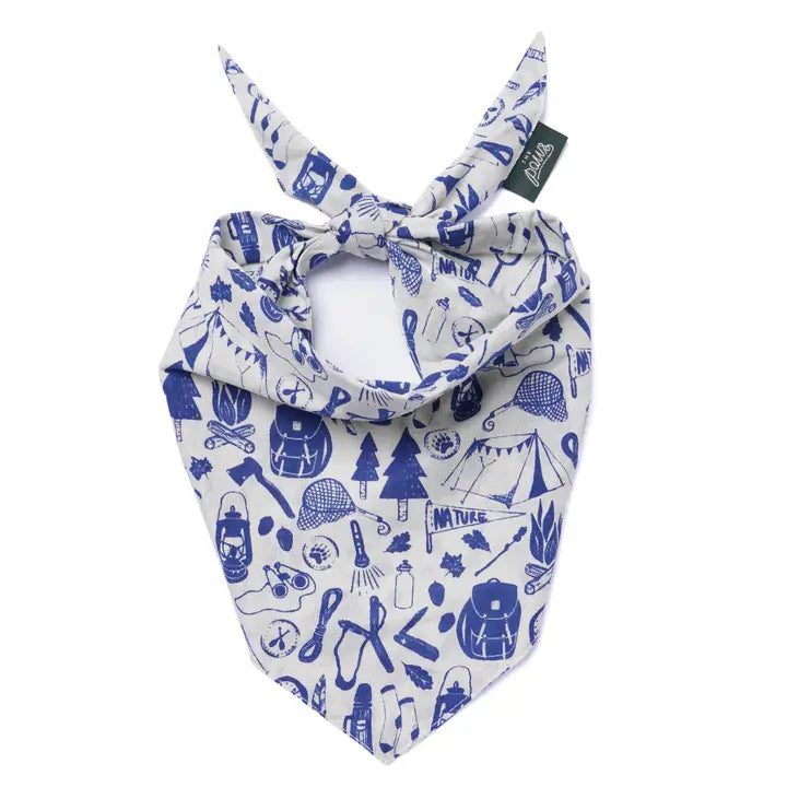 The Paws Wander Bandana for Dogs and Cats