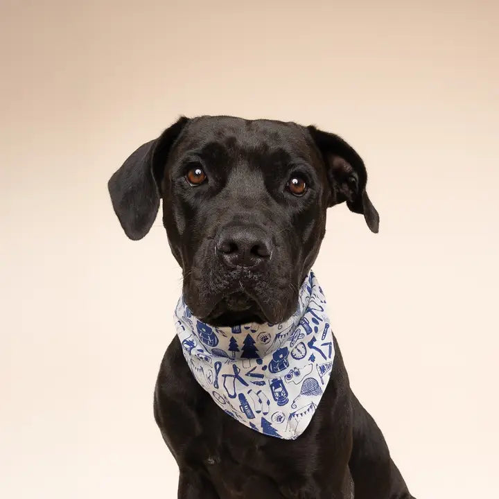 The Paws Wander Bandana for Dogs and Cats