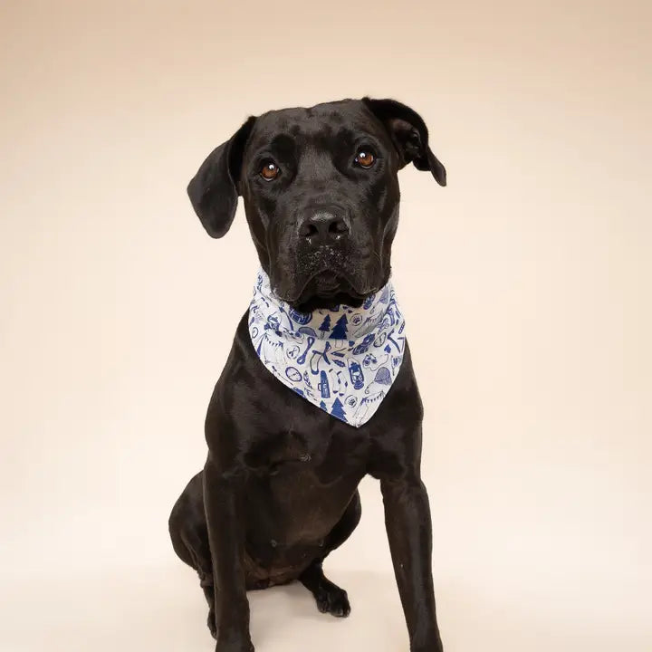 The Paws Wander Bandana for Dogs and Cats