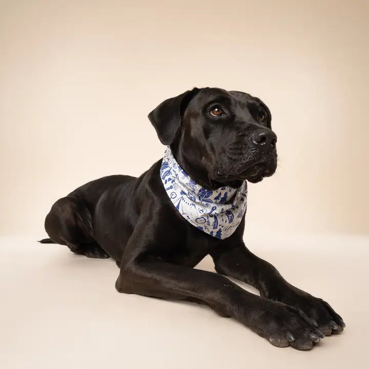 The Paws Wander Bandana for Dogs and Cats