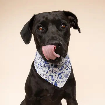 The Paws Wander Bandana for Dogs and Cats