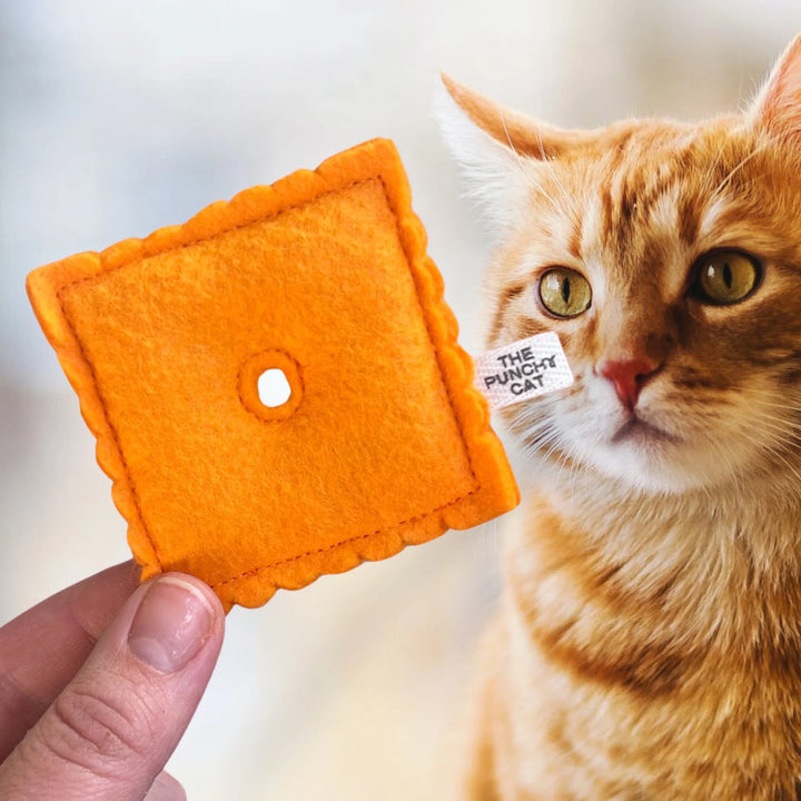 Handmade Wool Felt Catnip Cheez-it Cat Toy