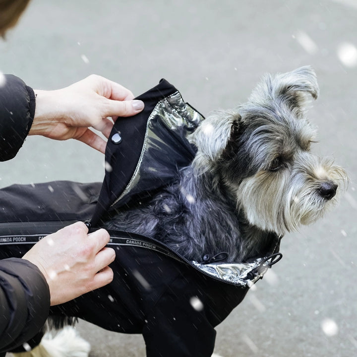 Canada Pooch Dog Winter Jacket Snow Suit