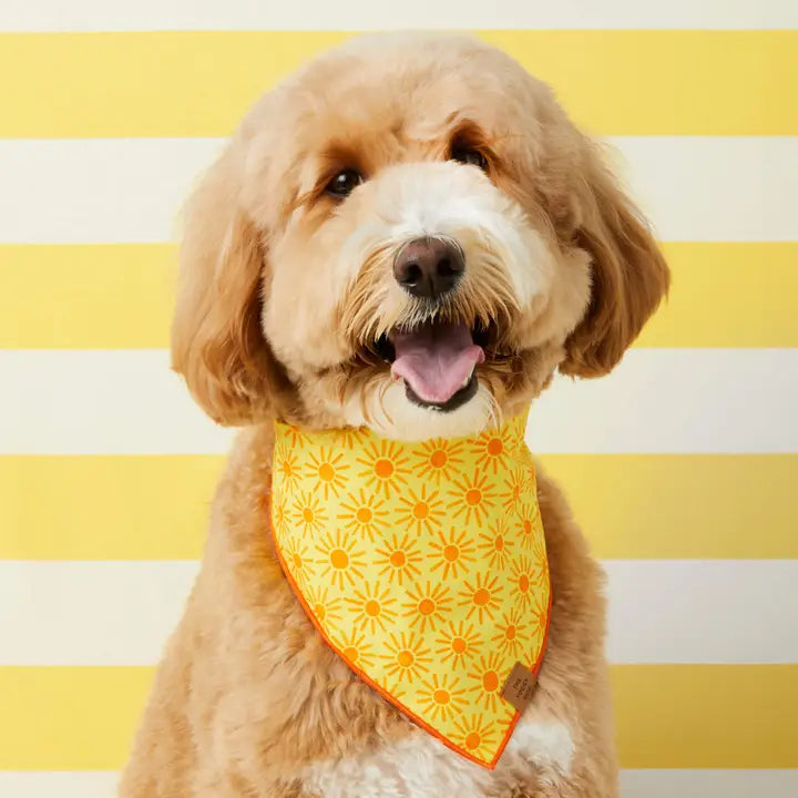 The Foggy Dog Here Comes the Sun Bandana for Dogs and Cats