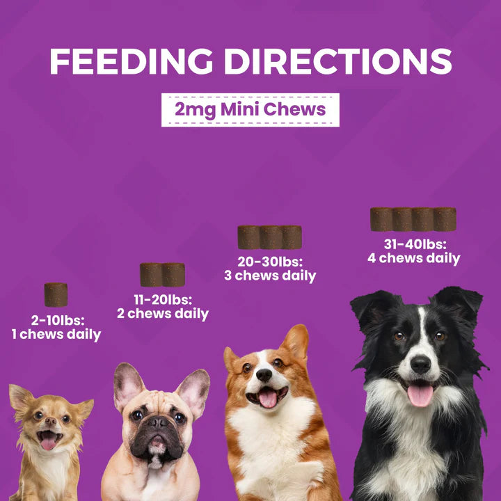 Nootie Dog Pro Max Calming Chews Mini 60ct
