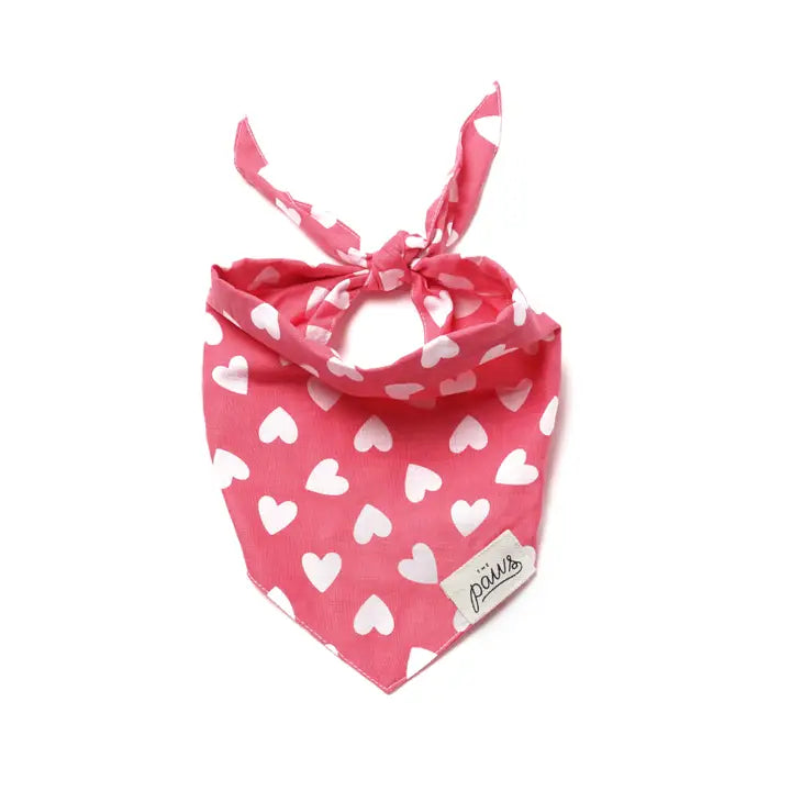 Whole Lotta Love Valentine's Day Bandana for Dogs and Cats