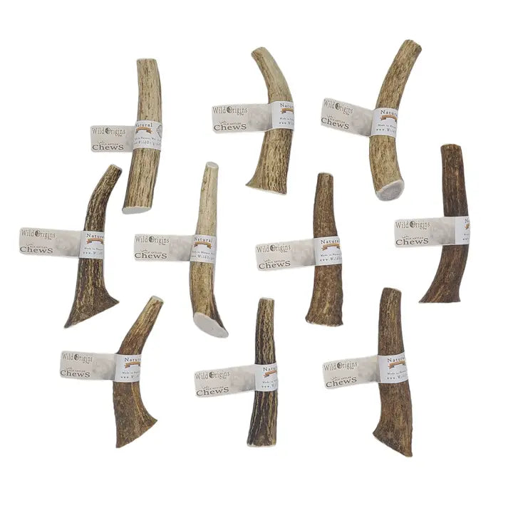 Wild Origins Montana Elk Antler Medium Chew