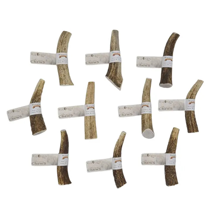 Wild Origins Montana Elk Antler Small 4-5" Chew