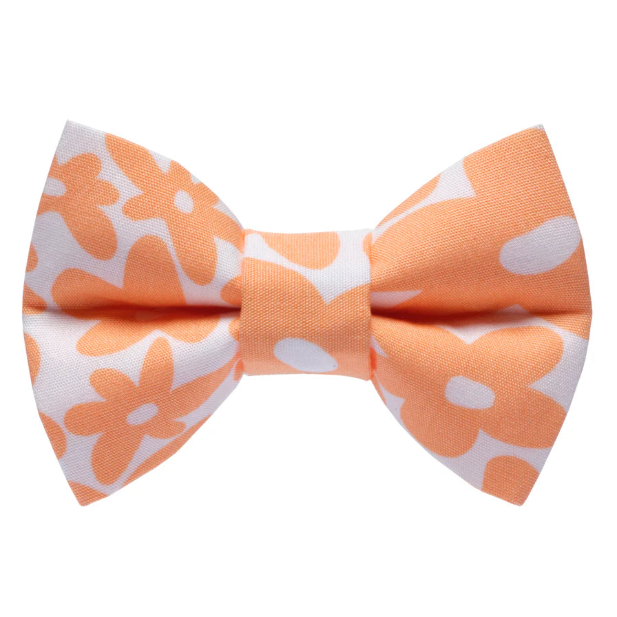 The Wild Child Bow Tie Attachment for Collar