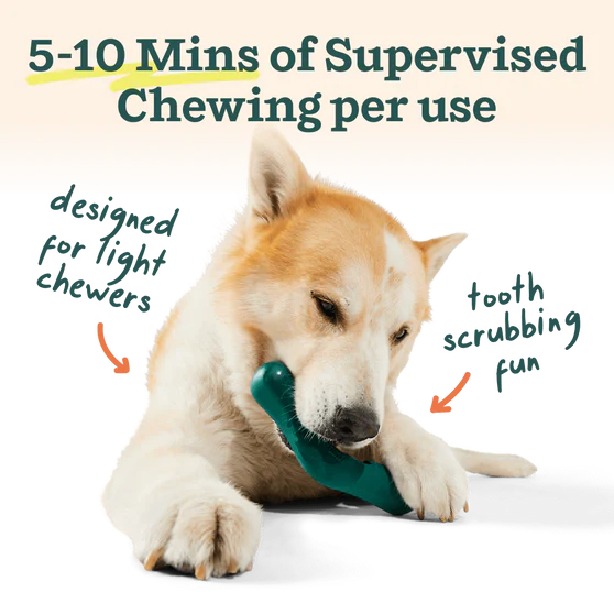 Woof Bite n' Brush Refill Pack Beef 8oz