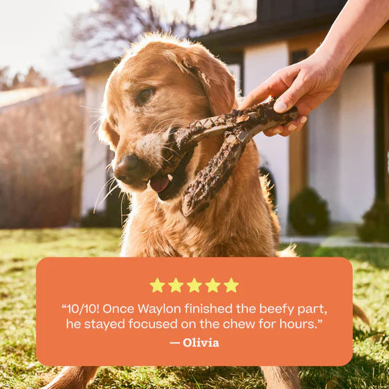 Woof HonestChew Meaty Antler Chew Large