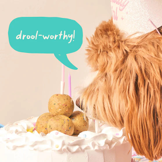 Woof Pupsicle Birthday Pops Long Lasting Treat Refills for Large Pupsicle Dog Toy 8oz