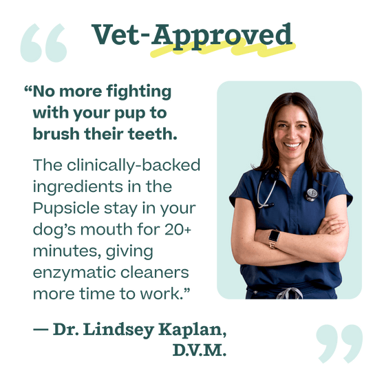 Woof Doggy Dental Pops Mix 5.5oz