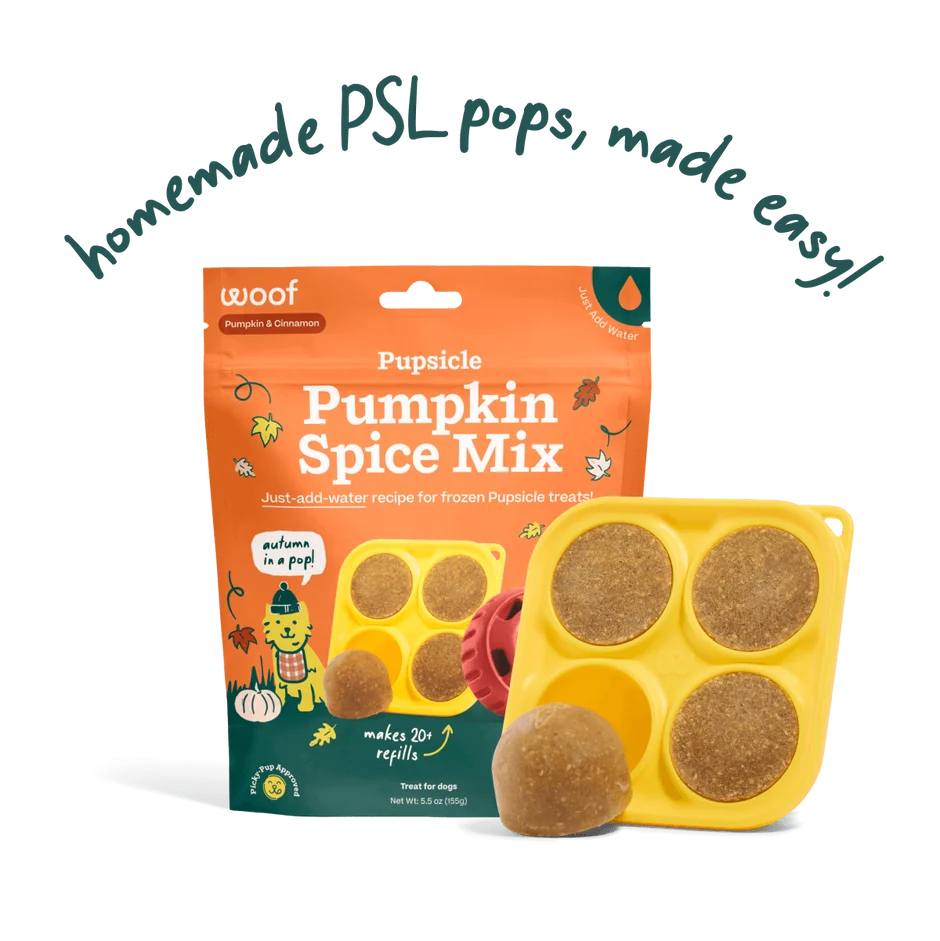 Woof Pumpkin Spice Pupsicle DIY Pops Mix 5.5oz