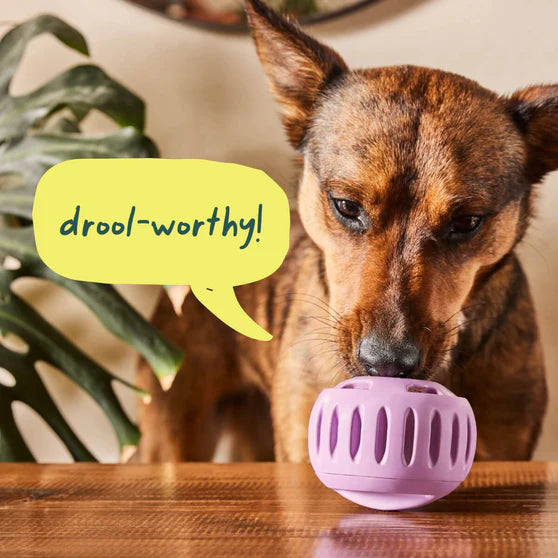 Woof Pupsicle Dog Puzzle Toy Lavender Size Large
