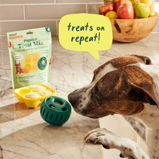 Woof Calming Wellness Pupsicle DIY Pops Mix 5.5oz