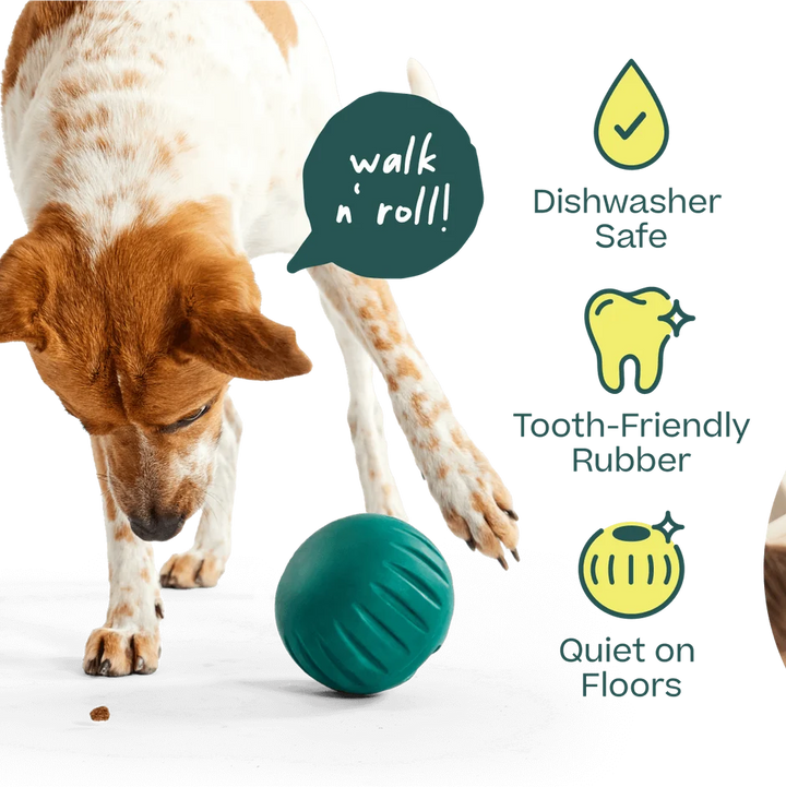 Woof Forager Walkabout Slow Feeder Ball Size Small
