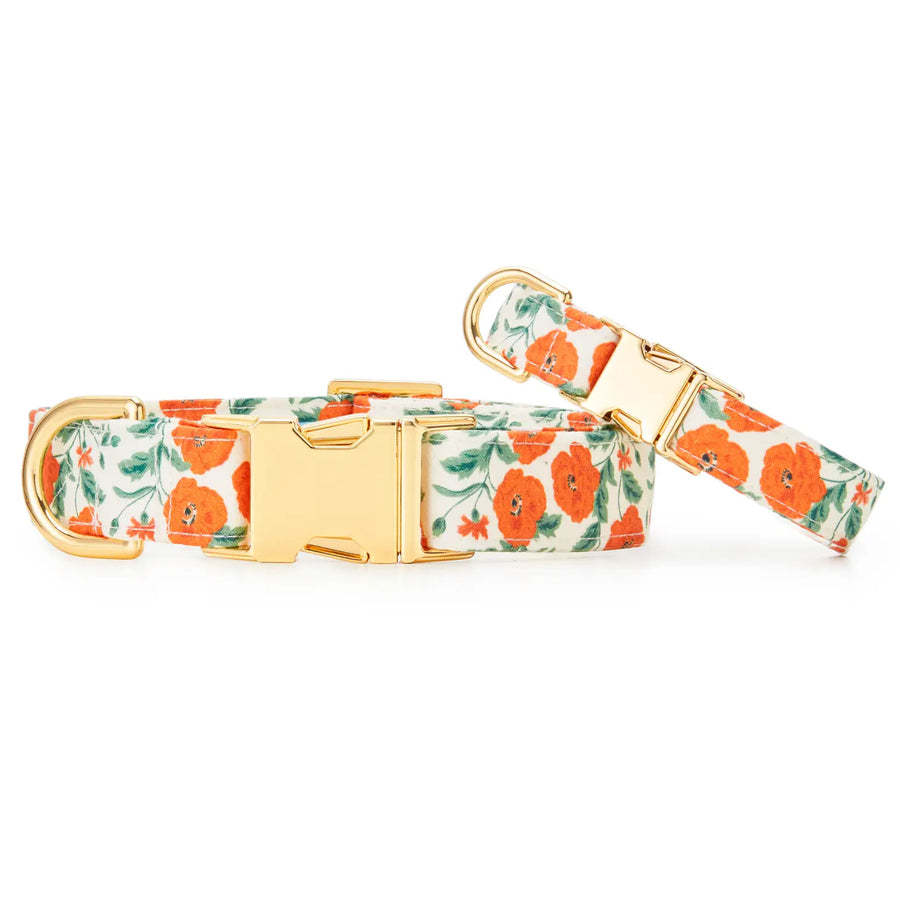 Poppies Dog Collar