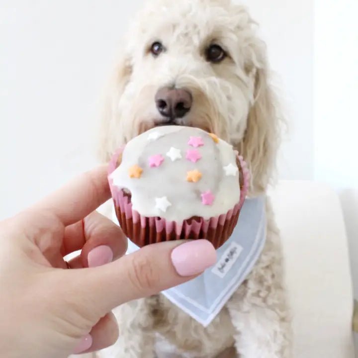 The Bear and The Rat Barley's Bakes Cupcake Mix For Dogs With Bone Broth