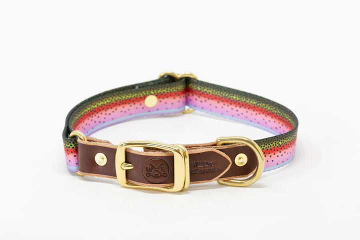 Handcrafted Leather & Rainbow Trout Print Adjustable Collar (M-XL)