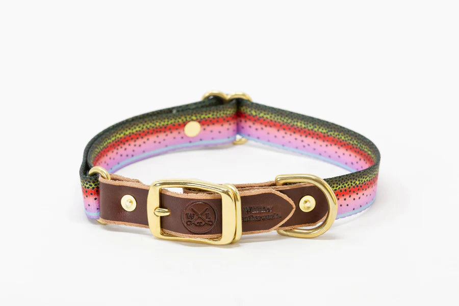 Handcrafted Leather & Rainbow Trout Print Adjustable Collar (M-XL)