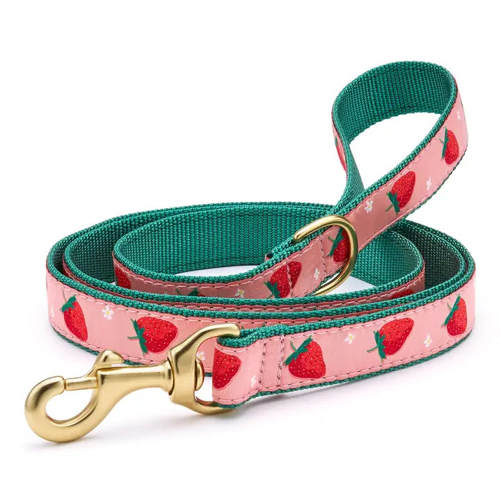 Strawberry Fields Dog Lead
