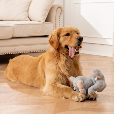 Tall Tails Animated Elephant Plush Dog Toy 8"